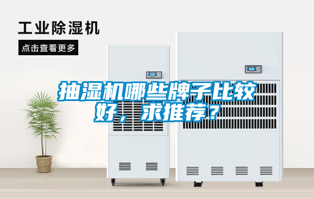 抽濕機哪些牌子比較好，求推薦？