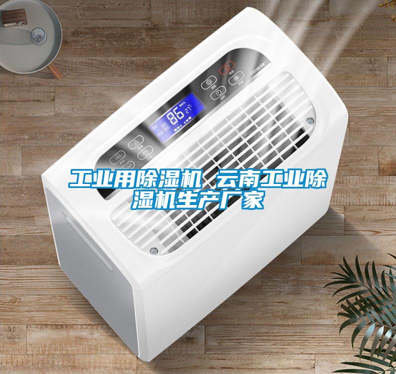 工業(yè)用除濕機 云南工業(yè)除濕機生產(chǎn)廠(chǎng)家