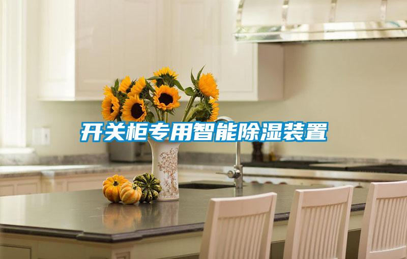 開(kāi)關(guān)柜專(zhuān)用智能除濕裝置
