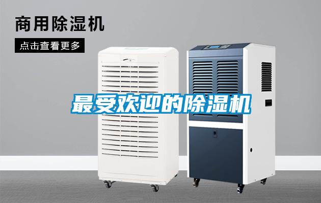 最受歡迎的除濕機