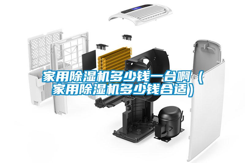 家用除濕機多少錢(qián)一臺?。矣贸凉駲C多少錢(qián)合適）