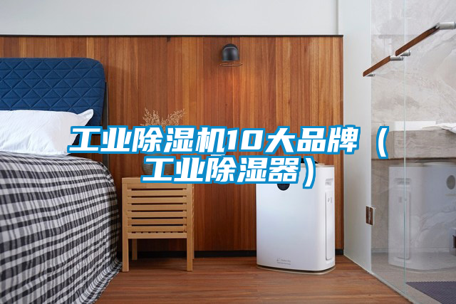 工業(yè)除濕機10大品牌（工業(yè)除濕器）