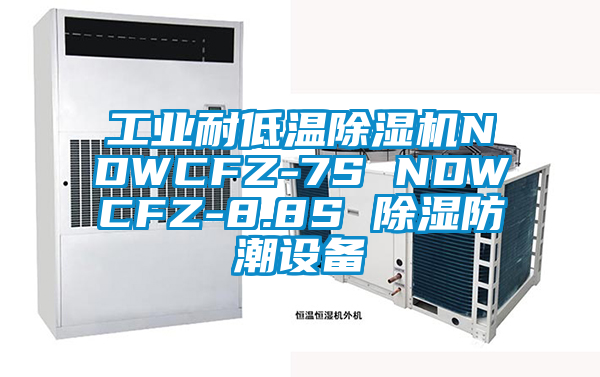 工業(yè)耐低溫除濕機NDWCFZ-7S NDWCFZ-8.8S 除濕防潮設備