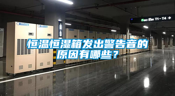 恒溫恒濕箱發(fā)出警告音的原因有哪些？