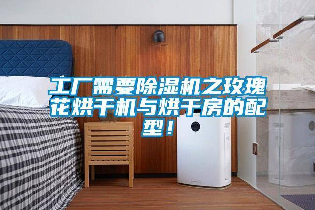 工廠(chǎng)需要除濕機之玫瑰花烘干機與烘干房的配型！