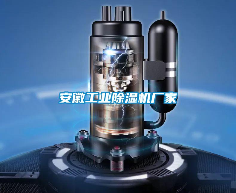 安徽工業(yè)除濕機廠(chǎng)家