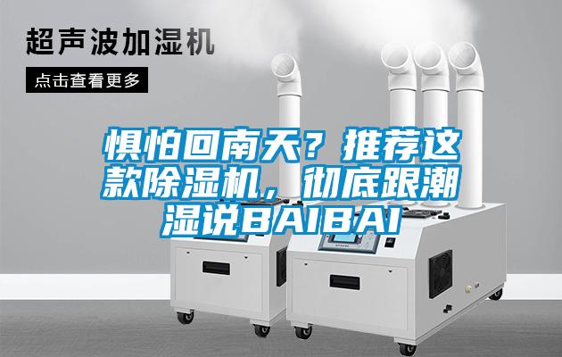 懼怕回南天？推薦這款除濕機，徹底跟潮濕說(shuō)BAIBAI