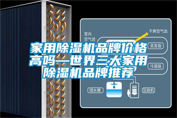 家用除濕機品牌價(jià)格高嗎—世界三大家用除濕機品牌推薦