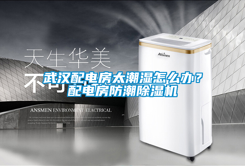 武漢配電房太潮濕怎么辦？配電房防潮除濕機