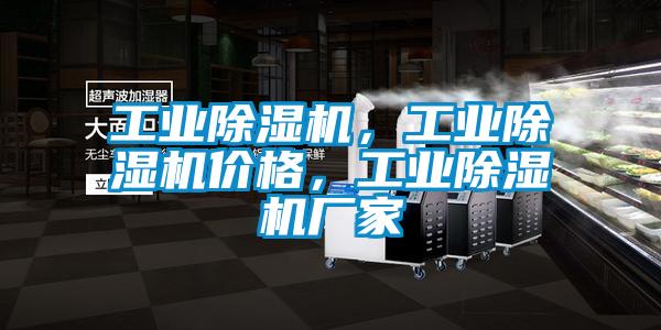 工業(yè)除濕機，工業(yè)除濕機價(jià)格，工業(yè)除濕機廠(chǎng)家