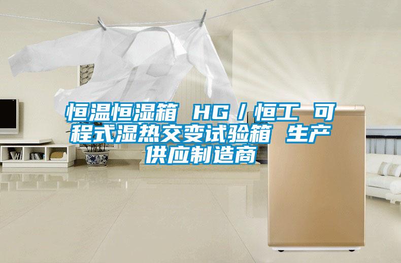 恒溫恒濕箱 HG／恒工 可程式濕熱交變試驗箱 生產(chǎn)供應制造商