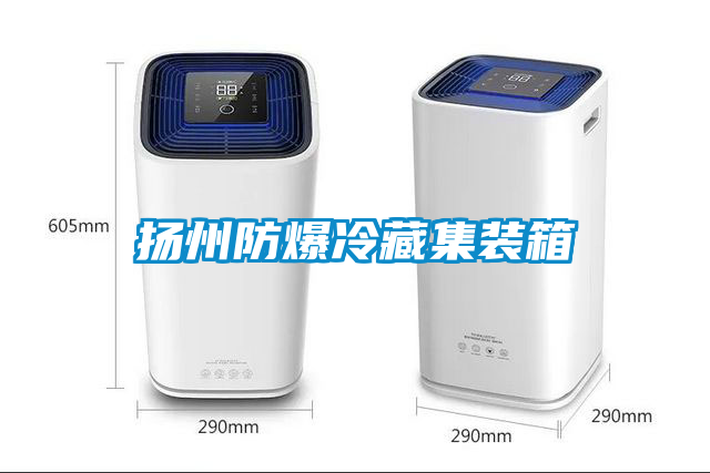 揚州防爆冷藏集裝箱