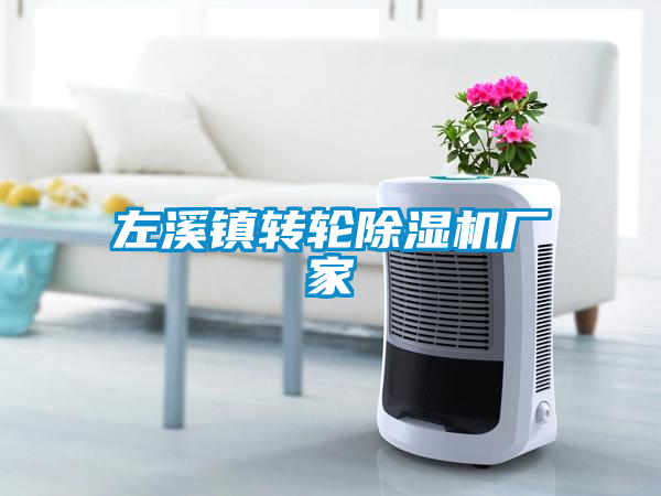 左溪鎮轉輪除濕機廠(chǎng)家