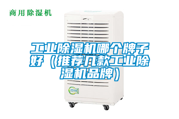 工業(yè)除濕機哪個(gè)牌子好（推薦幾款工業(yè)除濕機品牌）