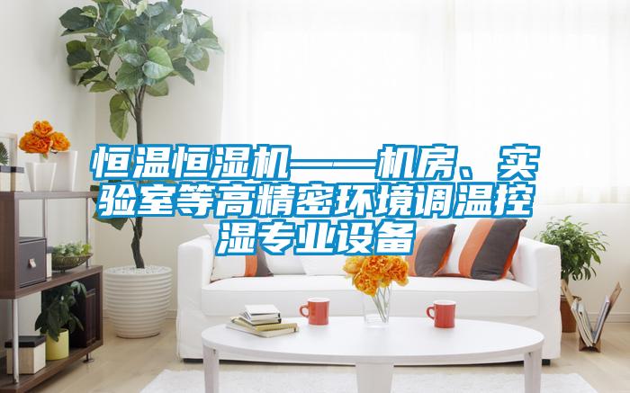 恒溫恒濕機——機房、實(shí)驗室等高精密環(huán)境調溫控濕專(zhuān)業(yè)設備