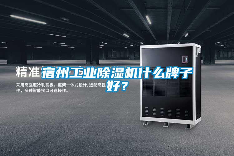 宿州工業(yè)除濕機什么牌子好？