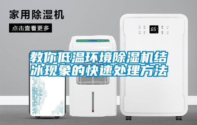 教你低溫環(huán)境除濕機結冰現象的快速處理方法