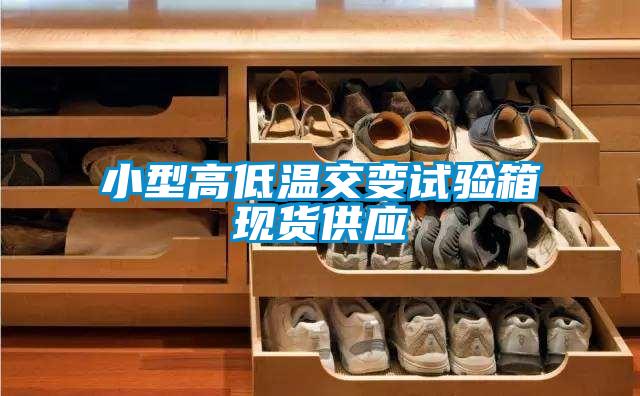 小型高低溫交變試驗箱現貨供應