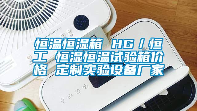 恒溫恒濕箱 HG／恒工 恒濕恒溫試驗箱價(jià)格 定制實(shí)驗設備廠(chǎng)家