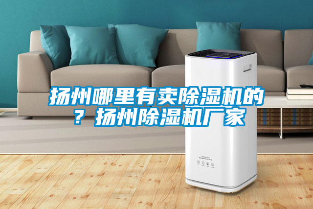 揚州哪里有賣(mài)除濕機的？揚州除濕機廠(chǎng)家