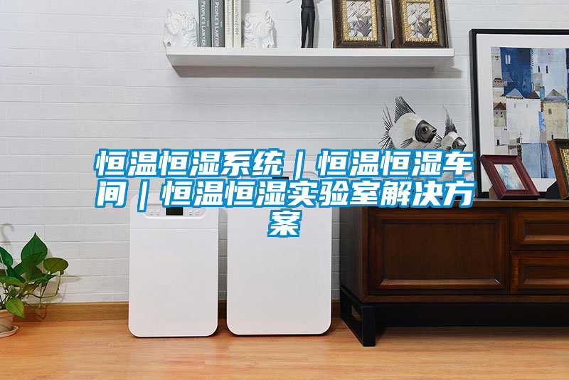 恒溫恒濕系統｜恒溫恒濕車(chē)間｜恒溫恒濕實(shí)驗室解決方案
