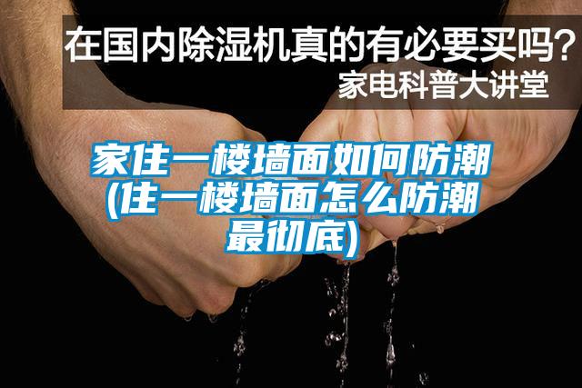 家住一樓墻面如何防潮(住一樓墻面怎么防潮最徹底)