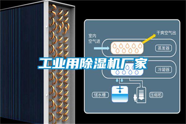 工業(yè)用除濕機廠(chǎng)家