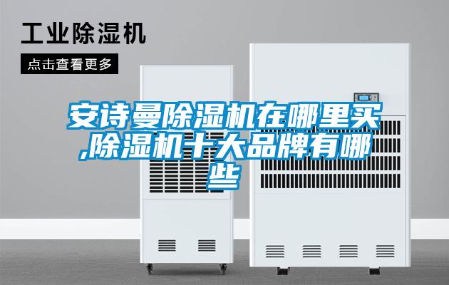 安詩(shī)曼除濕機在哪里買(mǎi),除濕機十大品牌有哪些