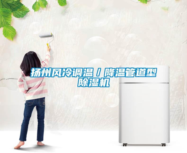 揚州風(fēng)冷調溫／降溫管道型除濕機