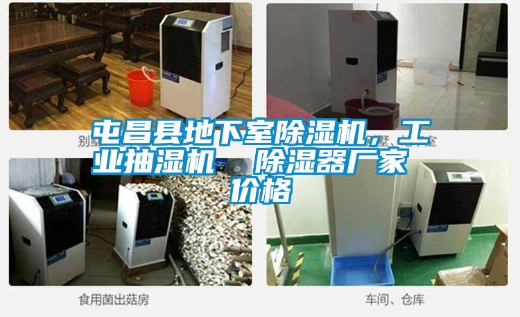 屯昌縣地下室除濕機，工業(yè)抽濕機  除濕器廠(chǎng)家 價(jià)格