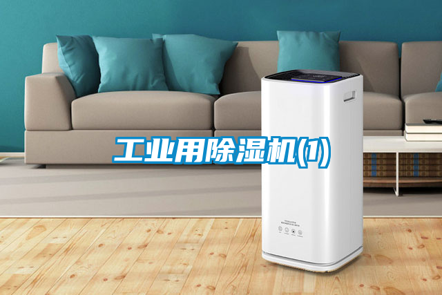 工業(yè)用除濕機(1)