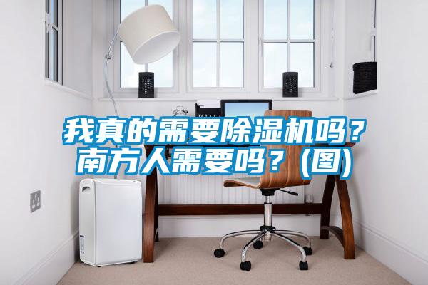 我真的需要除濕機嗎？南方人需要嗎？(圖)