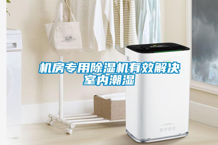 機房專(zhuān)用除濕機有效解決室內潮濕