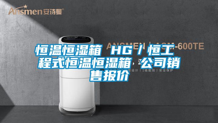 恒溫恒濕箱 HG／恒工 程式恒溫恒濕箱 公司銷(xiāo)售報價(jià)