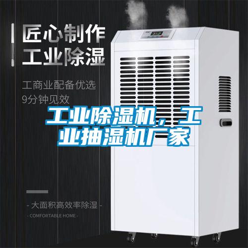工業(yè)除濕機，工業(yè)抽濕機廠(chǎng)家