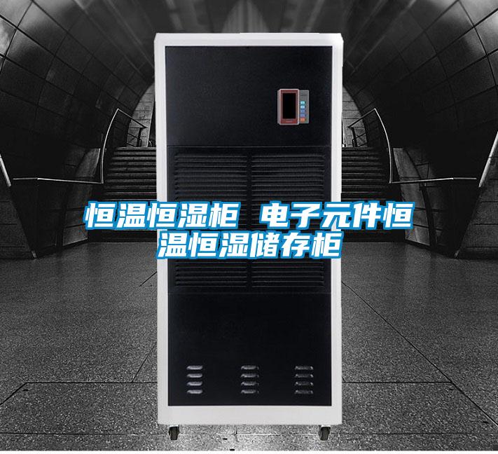 恒溫恒濕柜 電子元件恒溫恒濕儲存柜