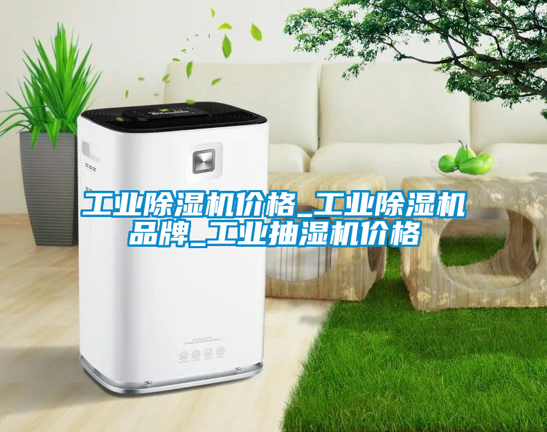 工業(yè)除濕機價(jià)格_工業(yè)除濕機品牌_工業(yè)抽濕機價(jià)格