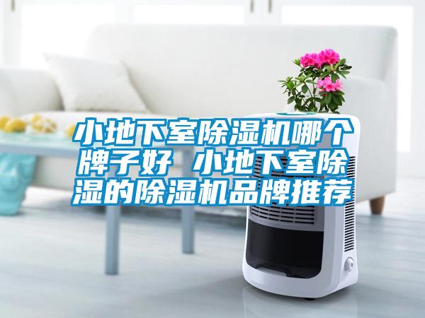小地下室除濕機哪個(gè)牌子好 小地下室除濕的除濕機品牌推薦