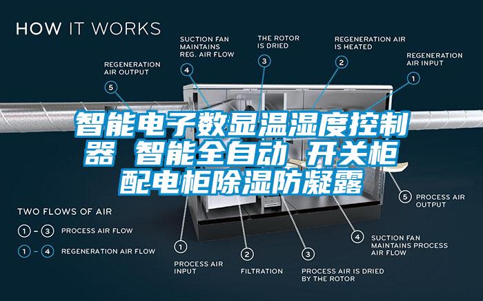 智能電子數顯溫濕度控制器 智能全自動(dòng) 開(kāi)關(guān)柜配電柜除濕防凝露