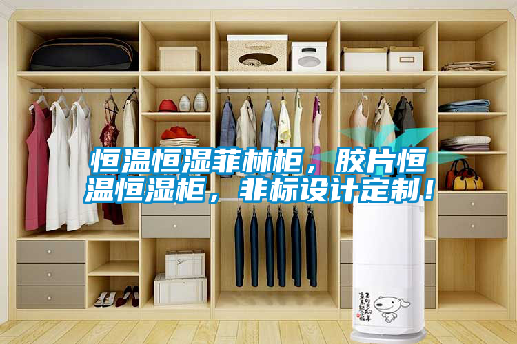 恒溫恒濕菲林柜，膠片恒溫恒濕柜，非標設計定制！