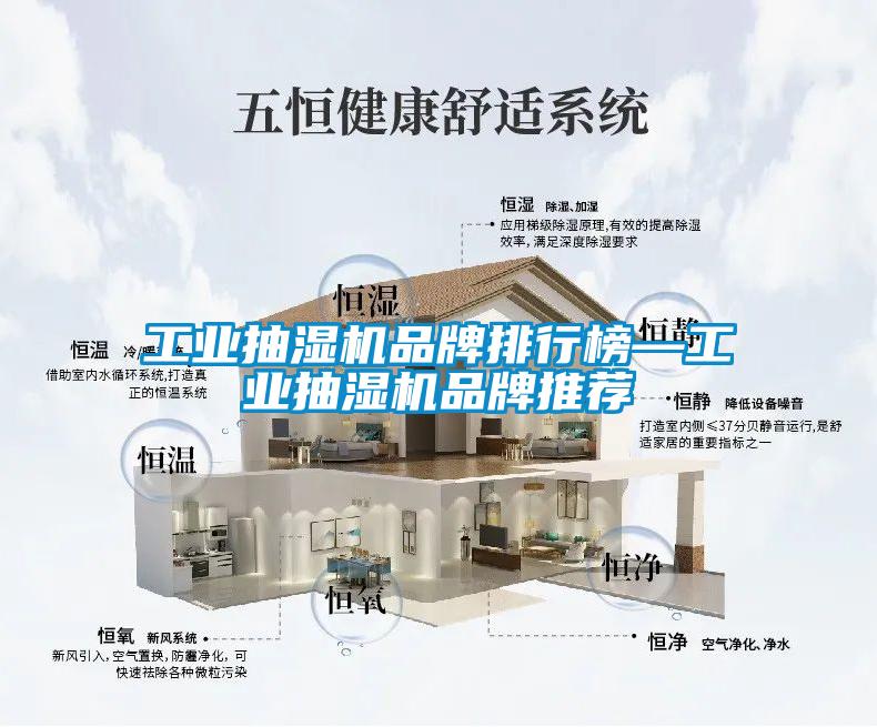 工業(yè)抽濕機品牌排行榜—工業(yè)抽濕機品牌推薦