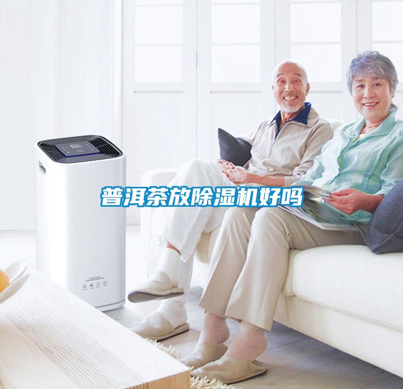 普洱茶放除濕機好嗎