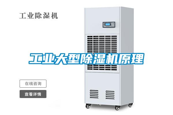 工業(yè)大型除濕機原理