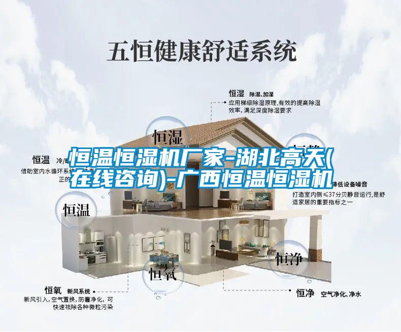 恒溫恒濕機廠(chǎng)家-湖北高天(在線(xiàn)咨詢(xún))-廣西恒溫恒濕機