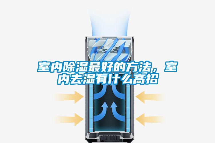 室內除濕最好的方法，室內去濕有什么高招