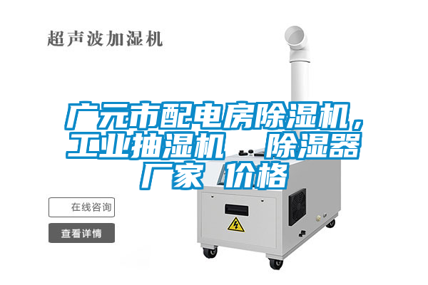廣元市配電房除濕機，工業(yè)抽濕機  除濕器廠(chǎng)家 價(jià)格