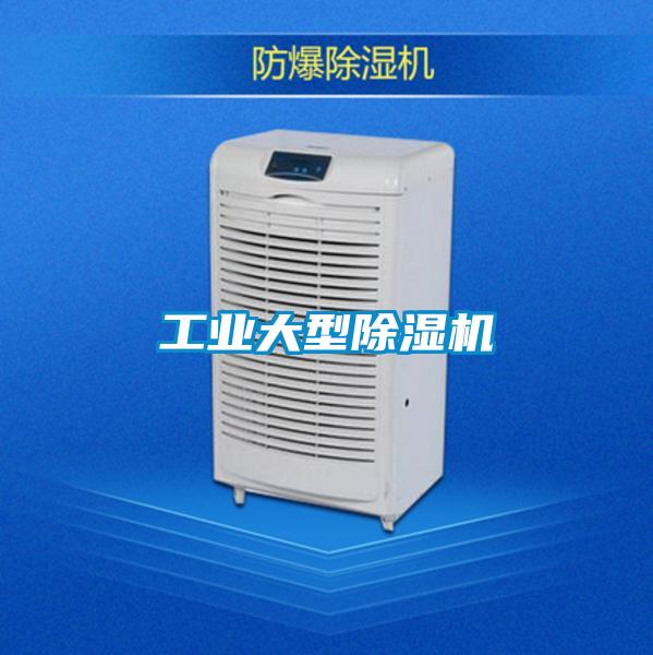 工業(yè)大型除濕機