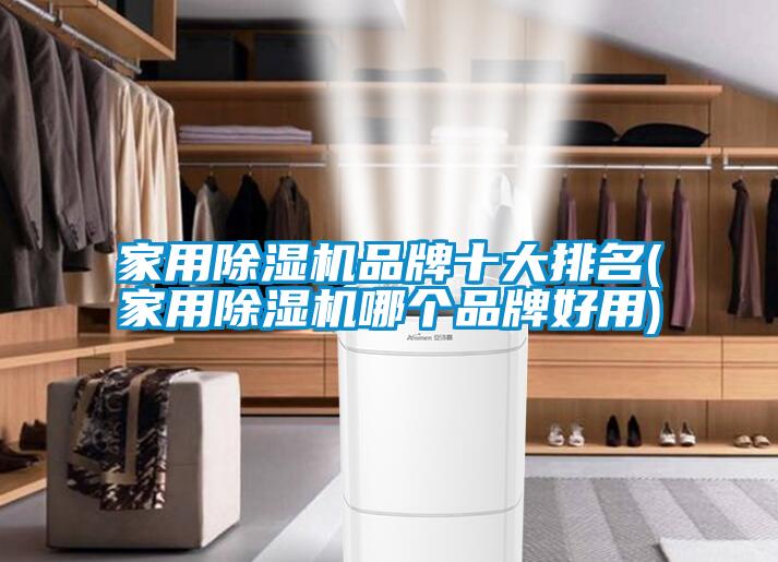 家用除濕機品牌十大排名(家用除濕機哪個(gè)品牌好用)