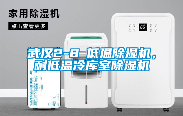 武漢2-8℃低溫除濕機，耐低溫冷庫室除濕機