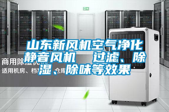 山東新風(fēng)機空氣凈化靜音風(fēng)機  過(guò)濾、除濕、除味等效果